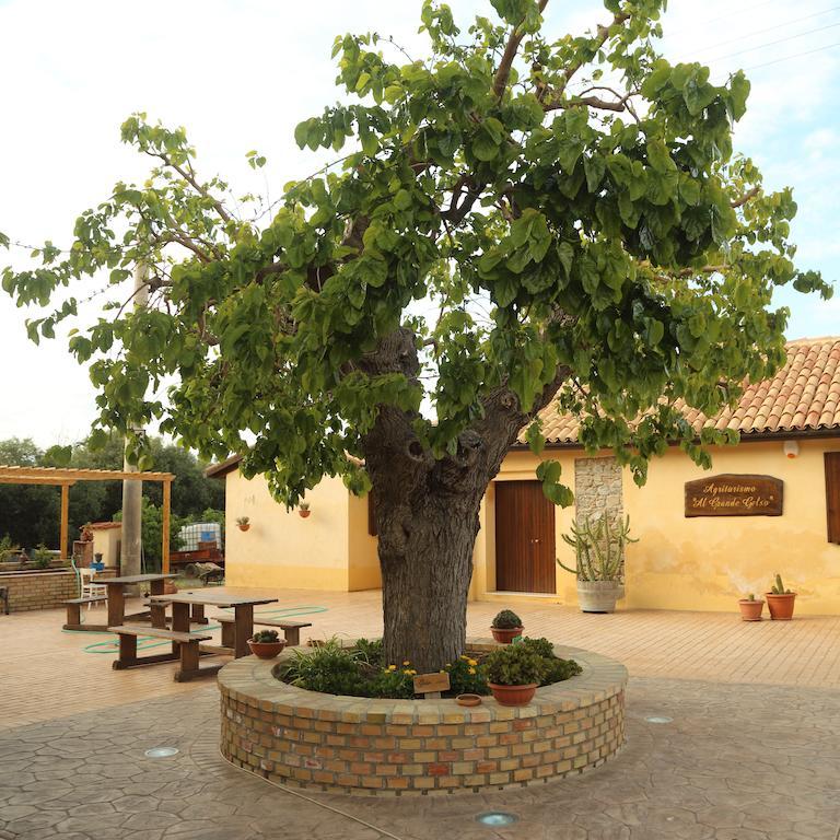 Al Grande Gelso Villa Cariati Kültér fotó